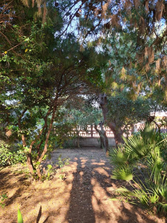 Villa Cino Punta Prosciutto Exterior photo